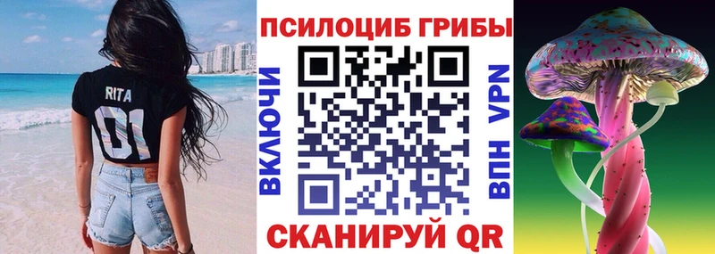 Псилоцибиновые грибы GOLDEN TEACHER  Гудермес 